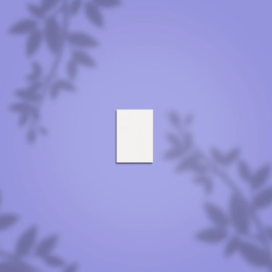 Schleifschwabbel rechteckig mini EXPERT 51 100/180er Körnung (50 Stück)